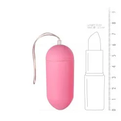 Easytoys Mini Vibe Collection Vibrerend Eitje - Roze -Cadeautips Verkoop 1625143039.ET291PNK 4
