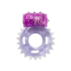 EasyToys Online Only Vibrerende Cockring Met Clitorisstimulator - Paars