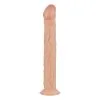 Real Fantasy Shawn Realistische Dildo Met Zuignap - 31 Cm -Cadeautips Verkoop 1625146579.RF005SKN