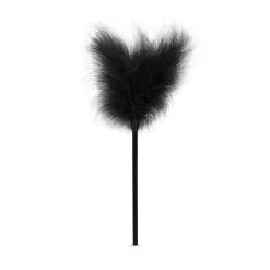 Secret Pleasure Chest - Black Fantasy -Cadeautips Verkoop 1625146708.LBX402 11