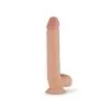 Real Fantasy Elvin Realistische Dildo Met Balzak - 21 Cm 2 Real Fantasy Elvin Realistische Dildo Met Balzak - 21 Cm -Cadeautips Verkoop 1625147460.RF013SKN