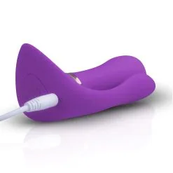 Teazers Remote Pleaser Vibrator -Cadeautips Verkoop 1625148957.TEA018 6