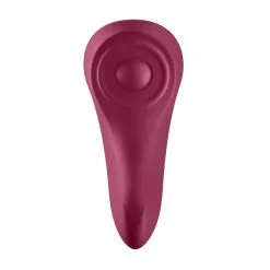 Satisfyer Sexy Secret Panty Vibrator App Controlled -Cadeautips Verkoop 1625157336.J2018 98 6
