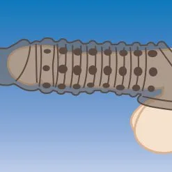 Size Matters - Penis Verlengende Sleeve - Smoke -Cadeautips Verkoop 1635166733.AG576 Smoke 4