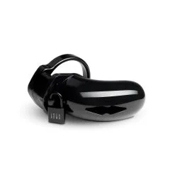 Lockdown Kuisheidskooi - Medium -Cadeautips Verkoop 1659688152.lock002 10