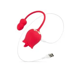 Teazers Rose Vibrator And Clitoris Stimulator -Cadeautips Verkoop 1670511134.tea042 8