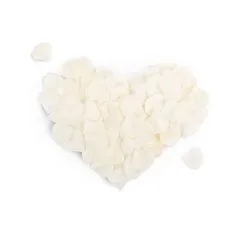 EasyToys Online Only Romantische Rozenblaadjes